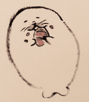 seal