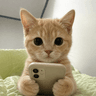 CATWIFFONE