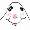 hamster