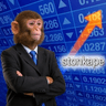 stonkape