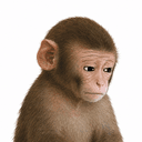 Apejak