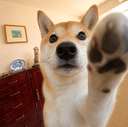 tap