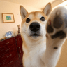 tap