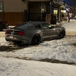 richsqad