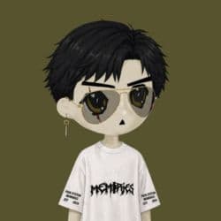 payki_flip
