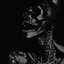 donnydrk