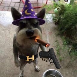 gigagemhunter