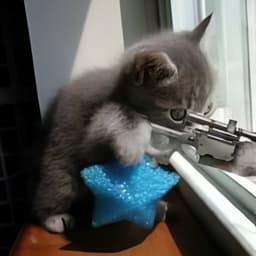 snipercatt