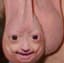 frednuds