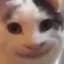 bonziro