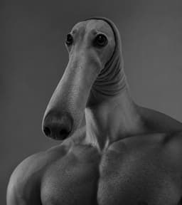 PushyTuna23