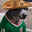 mexdoge