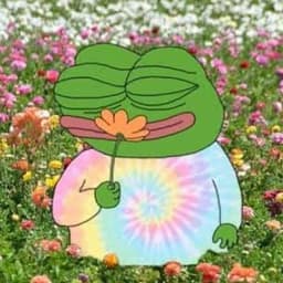 chillfrogz