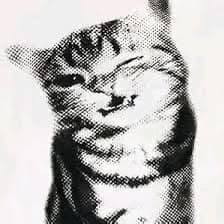 kurff