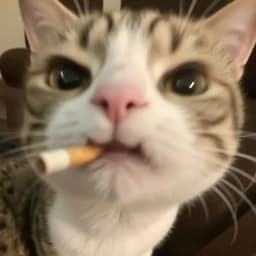 fattychrisCG