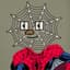 SPIDERHOUSE