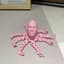 pinkbaldoctopus
