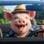 pork911