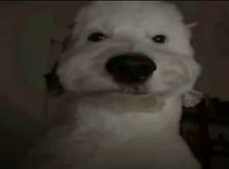 etitties
