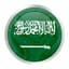 ARAB_SOLANA1