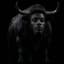 blackbulll