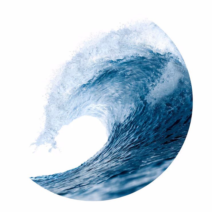WellWave