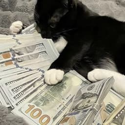 niggerwallet