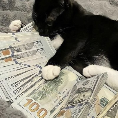 niggerwallet