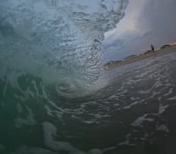 rashdolphin4216