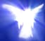 angelinvestor