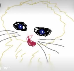 SADCAT61