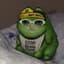 notfrogcat