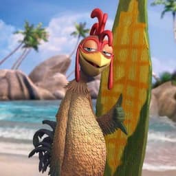 biblicaldodo