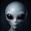 bigpap25
