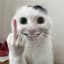 mnle