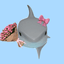 ofcsharkguy