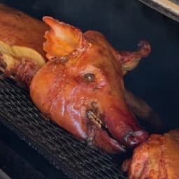 bbqfun