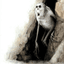 Trench__Dweller