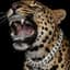 zboyz_47