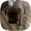 sizablesquid073